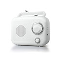R210W